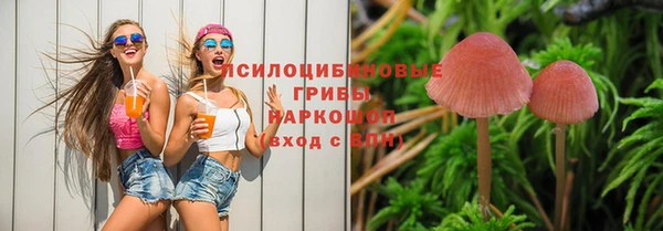 Альфа ПВП Иннополис