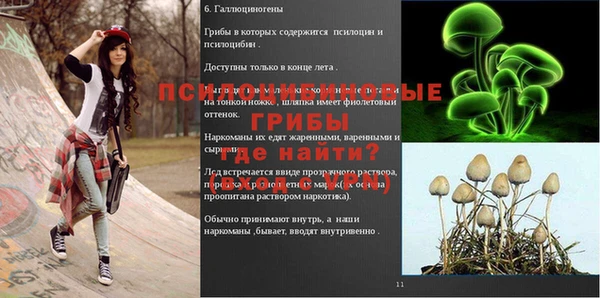 Альфа ПВП Иннополис