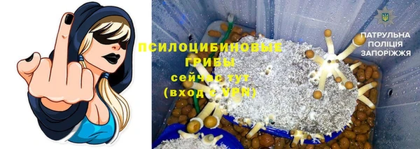 меф Инсар